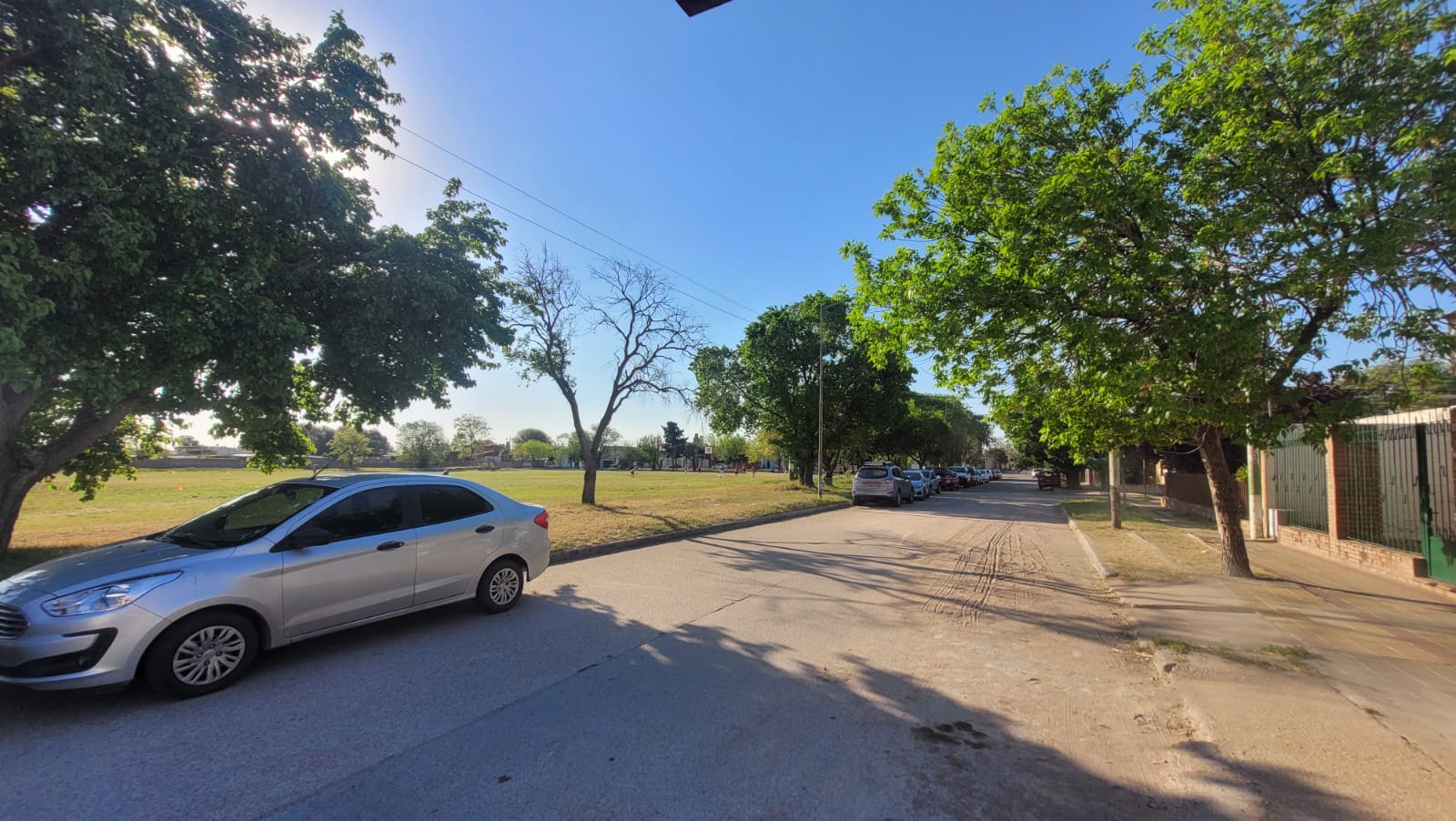La calle de la residencia, arbolada y frente a un espacio verde