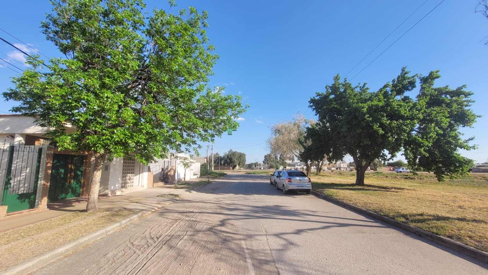 La cuadra de la residencia, arbolada y frente a un espacio verde